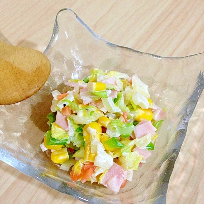 シャッキシャキ!失敗なしの基本のコールスロー!